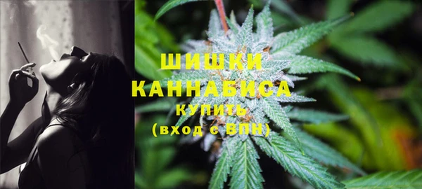 ПСИЛОЦИБИНОВЫЕ ГРИБЫ Бородино