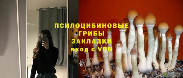 эйфоретик Бронницы