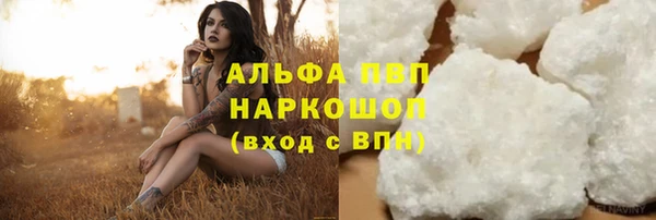 ПСИЛОЦИБИНОВЫЕ ГРИБЫ Бородино