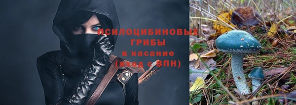 эйфоретик Бронницы