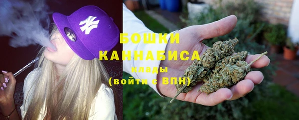 ПСИЛОЦИБИНОВЫЕ ГРИБЫ Бородино