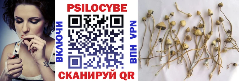 Галлюциногенные грибы Psilocybine cubensis  hydra зеркало  Вытегра 
