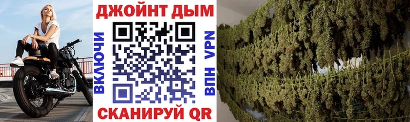 Конопля Bruce Banner  Вытегра 